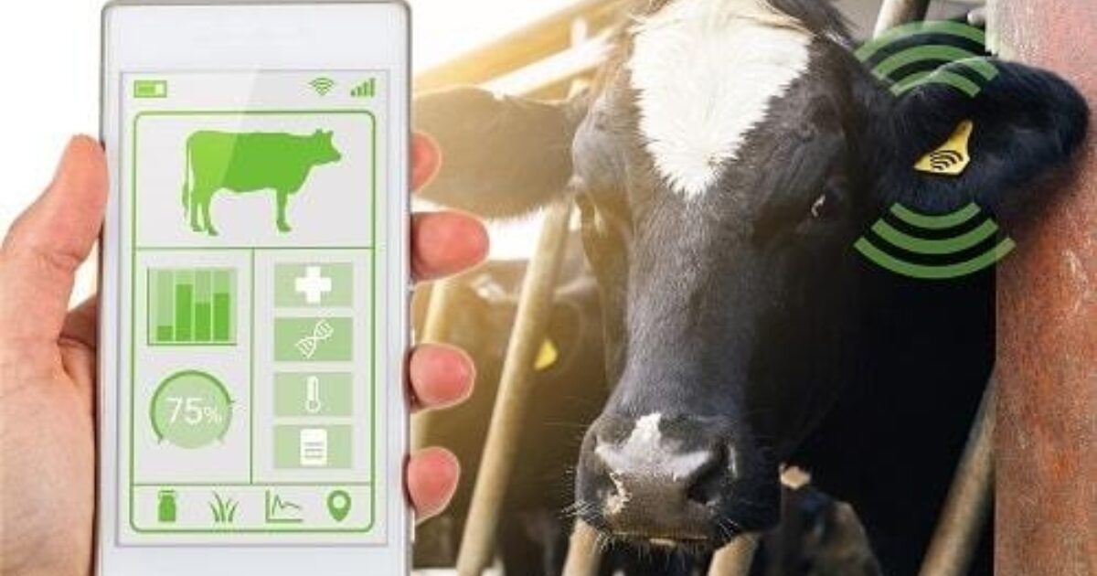 ONE Agritech Programme | News | ONE