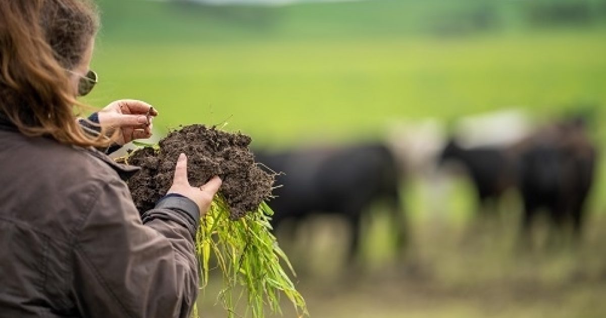 Grass Management Tech Webinar One