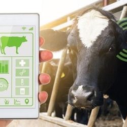 NEWS | ONE Agritech Programme Winter Webinars