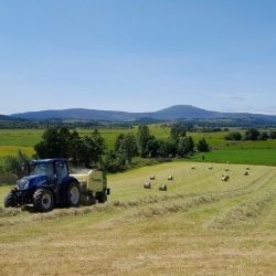 July 2026 ONE AgriTech Project Newsletter