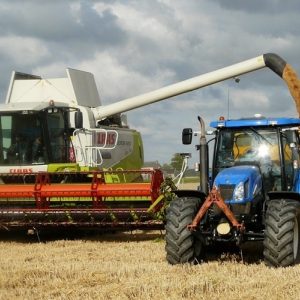 Arable Digital Guide