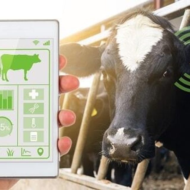 NEWS | ONE Agritech Programme Winter Webinars